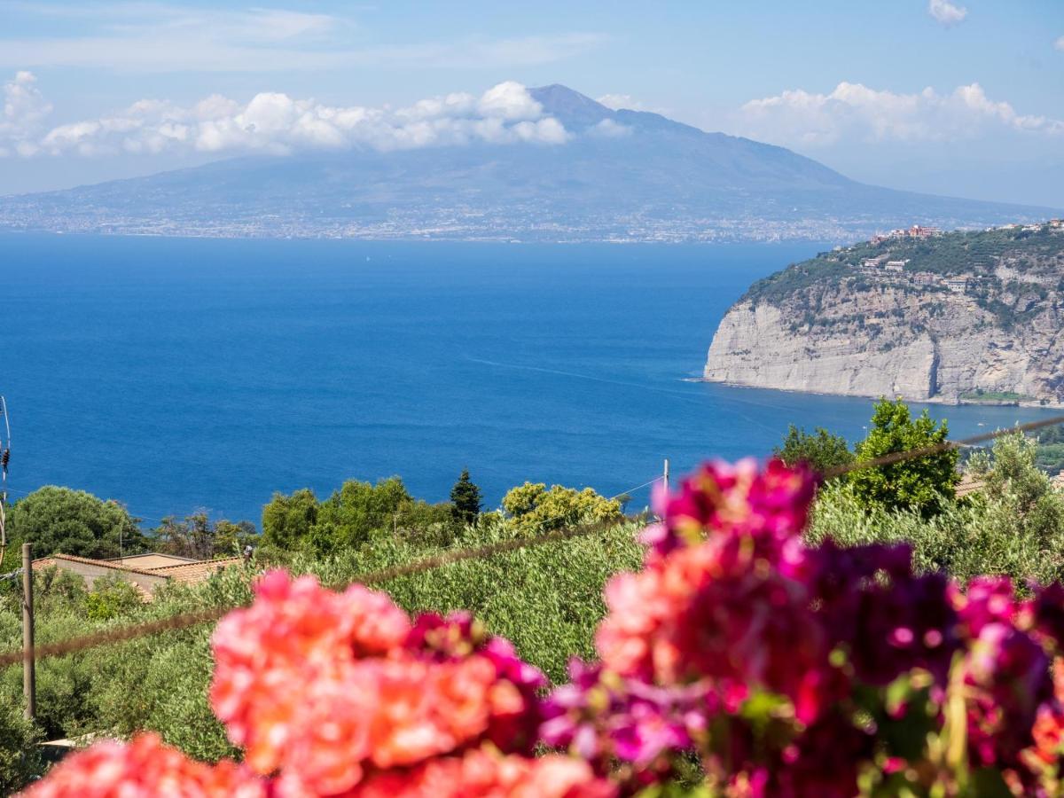 Villa Il Sogno di Lorna Sorrento Esterno foto